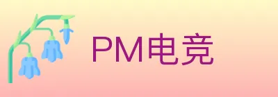 PM电竞 Logo